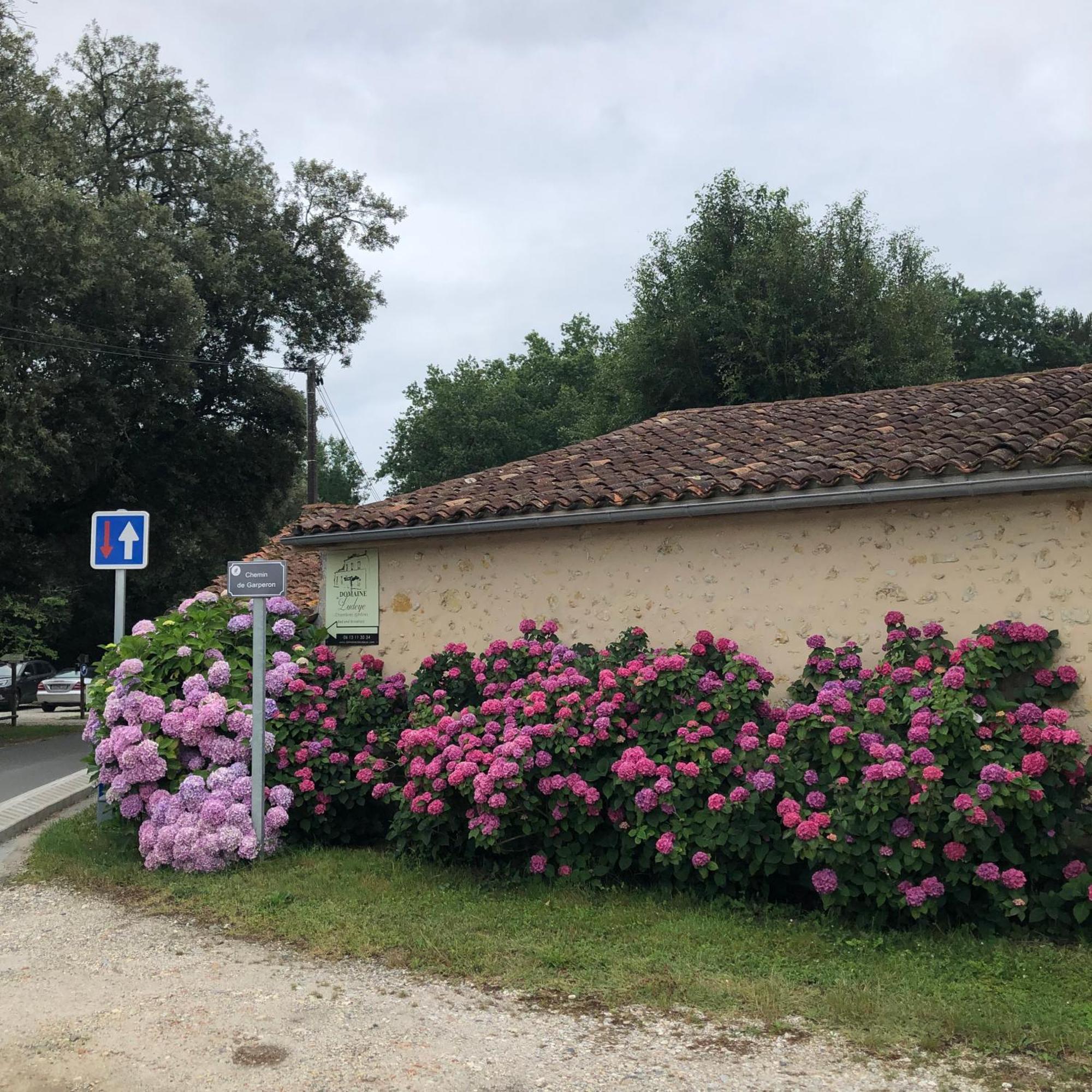 Hotel Domaine De Ludeye Listrac-Médoc Esterno foto